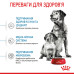 Корм для цуценят Royal Canin Medium Starter Mother & Babydog Корм для цуценят Royal Canin Medium Starter Mother & Babydog
