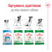 Корм для собак Royal Canin Mini Adult Корм для собак Royal Canin Mini Adult