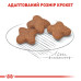 Корм для собак Royal Canin Mini Adult 8+ Корм для собак Royal Canin Mini Adult 8+