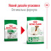 Корм для собак Royal Canin Mini Adult 8+ Корм для собак Royal Canin Mini Adult 8+