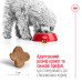Корм для собак Royal Canin Mini Adult 8+ Корм для собак Royal Canin Mini Adult 8+