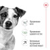 Корм для собак Royal Canin Mini Adult 8+ Корм для собак Royal Canin Mini Adult 8+