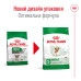 Корм для собак Royal Canin Mini Ageing 12+