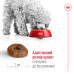 Корм для собак Royal Canin Mini Ageing 12+