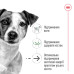 Корм для собак Royal Canin Mini Ageing 12+