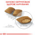 Корм для собак Royal Canin Exigent Mini Корм для собак Royal Canin Exigent Mini
