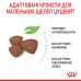 Корм для цуценят Royal Canin Mini Puppy