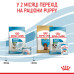 Корм для цуценят Royal Caninn Mini Starter Mother & Babydog Корм для цуценят Royal Caninn Mini Starter Mother & Babydog