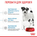 Корм для цуценят Royal Caninn Mini Starter Mother & Babydog Корм для цуценят Royal Caninn Mini Starter Mother & Babydog