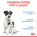 Корм для цуценят Royal Caninn Mini Starter Mother & Babydog Корм для цуценят Royal Caninn Mini Starter Mother & Babydog
