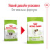 Корм для собак Royal Canin X-Small Adult Корм для собак Royal Canin X-Small Adult