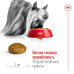 Корм для собак Royal Canin X-Small Adult Корм для собак Royal Canin X-Small Adult