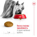 Корм для собак Royal Canin X-small Adult 8+