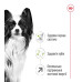 Корм для собак Royal Canin X-small Adult 8+