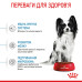 Корм для цуценят Royal Canin X-small Puppy