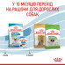 Корм для цуценят Royal Canin X-small Puppy