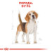 Корм для собак Royal Canin BEAGLE ADULT Корм для собак Royal Canin BEAGLE ADULT
