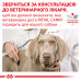 Корм для собак Royal Canin Gastrointestinal Low Fat Small Dogs Корм для собак Royal Canin Gastrointestinal Low Fat Small Dogs