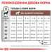 Корм для цуценят Royal Canin GastroIntestinal Puppy Корм для цуценят Royal Canin GastroIntestinal Puppy