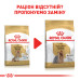 Корм для собак Royal Canin Yorkshire Terrier Adult 8+ Корм для собак Royal Canin Yorkshire Terrier Adult 8+