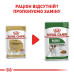 Корм для собак Royal Canin Chihuahua Adult, pouches Корм для собак Royal Canin Chihuahua Adult, pouches