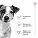 Корм для собак Royal Canin Mini Adult pouches Корм для собак Royal Canin Mini Adult pouches
