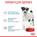 Корм для цуценят Royal Canin Starter mother & babydog mousse Корм для цуценят Royal Canin Starter mother & babydog mousse