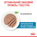 Корм для цуценят Royal Canin Starter mother & babydog mousse Корм для цуценят Royal Canin Starter mother & babydog mousse