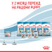 Корм для цуценят Royal Canin Starter mother & babydog mousse Корм для цуценят Royal Canin Starter mother & babydog mousse