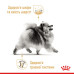 Корм для собак Royal Canin Pomeranian Adult pouches Корм для собак Royal Canin Pomeranian Adult pouches