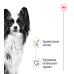 Корм для собак Royal Canin X-small Adult pouches Корм для собак Royal Canin X-small Adult pouches