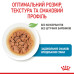 Корм для цуценят Royal Canin X-small Puppy Корм для цуценят Royal Canin X-small Puppy