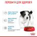 Корм для цуценят Royal Canin X-small Puppy Корм для цуценят Royal Canin X-small Puppy