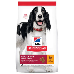 SP Medium breed, chicken SP Medium breed, chicken