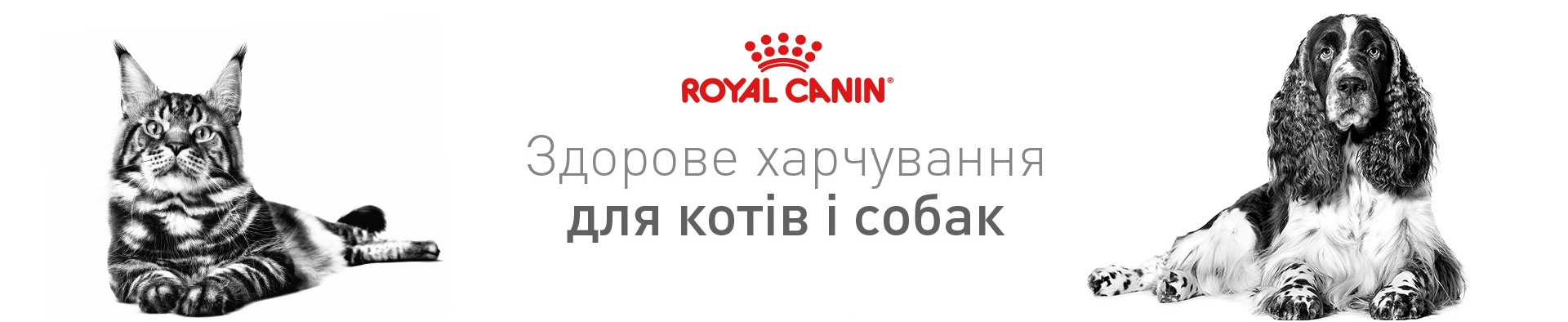 Royal Canin